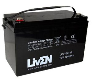 Batería AGM de 12V y 100Ah LivEN