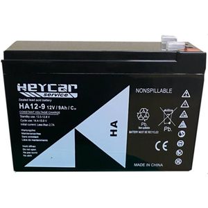 Categoría Baterías AGM de 12V para SAI
